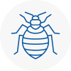Bed Bug Extermination In Sheffield